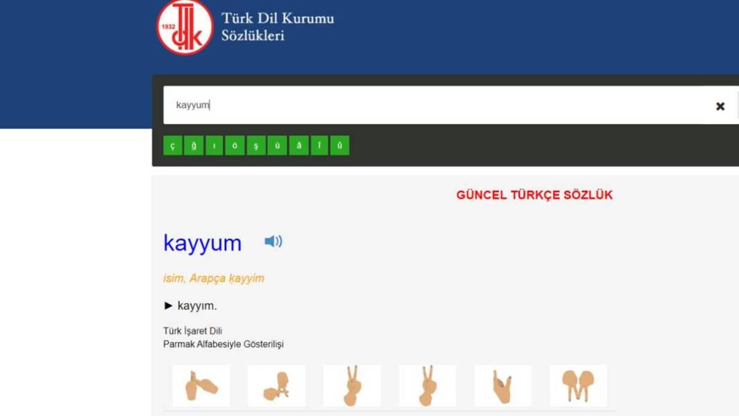 TDK, bazı sözcüklerin yazımını değiştirdi: Artık böyle yazılacak! Editörleri yakından ilgilendiriyor 11